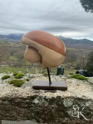 Escultura con formas de seta y varillas