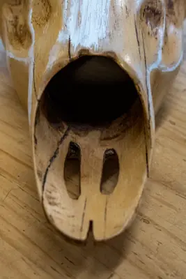 Ver detalle de las perforaciones y de la veta de la madera a tamaño completo